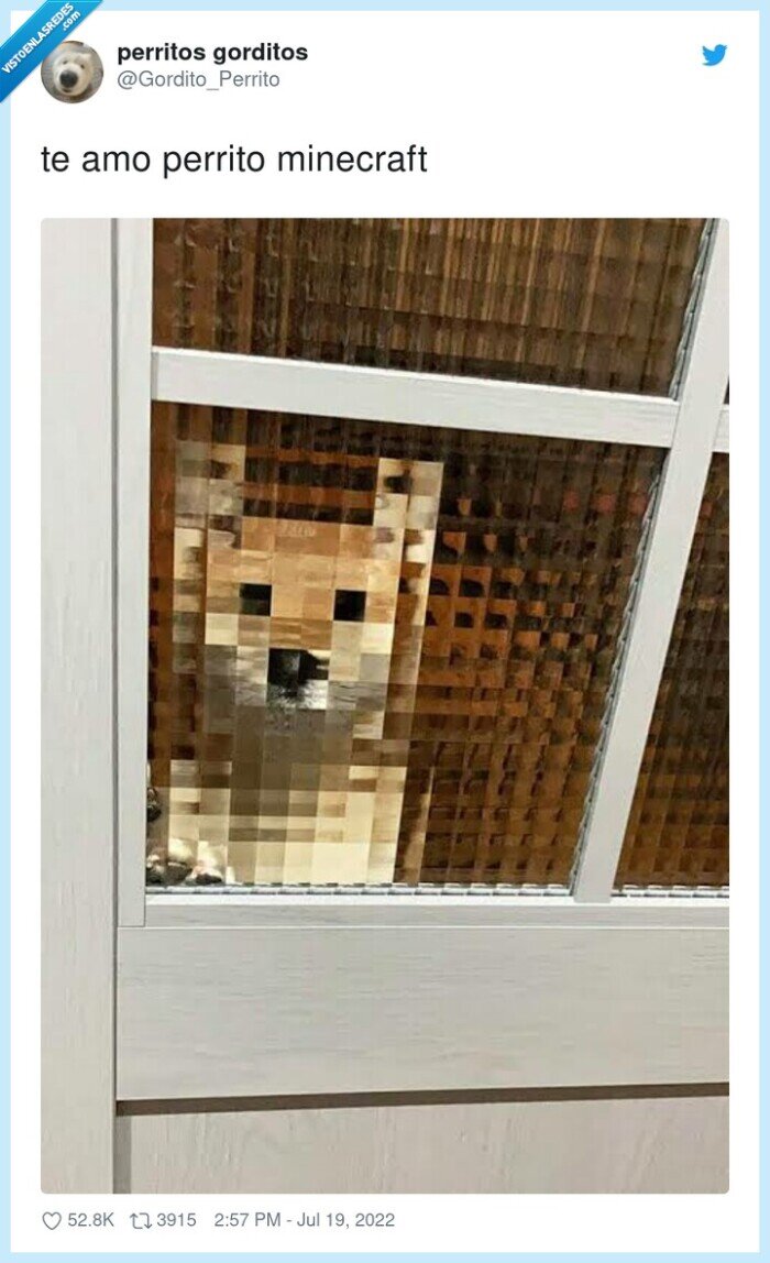 minecraft,perrito,amo
