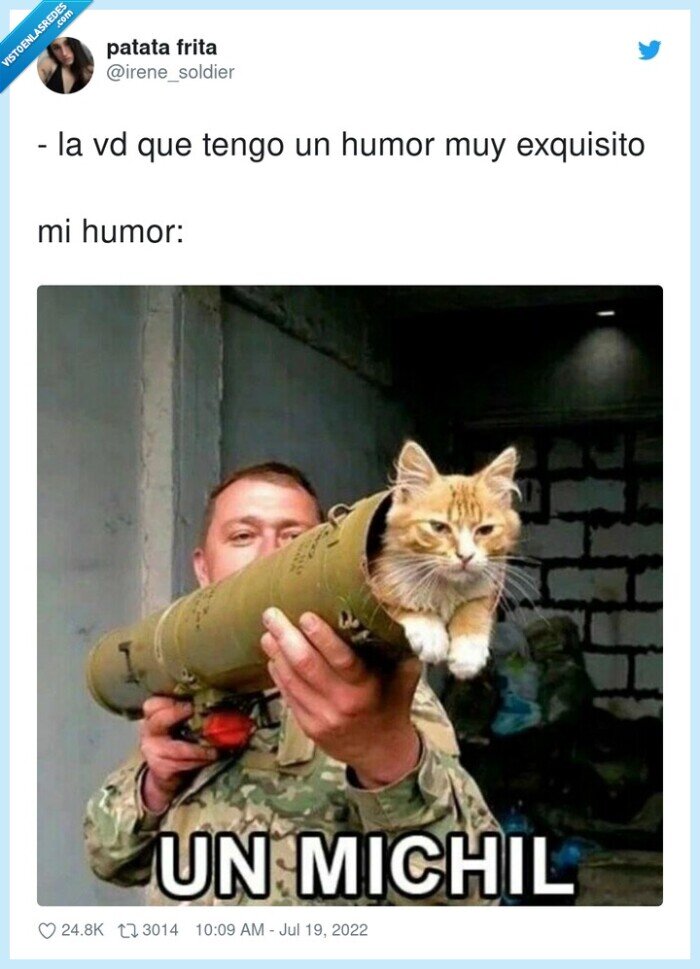 exquisito,michil,humor,gato