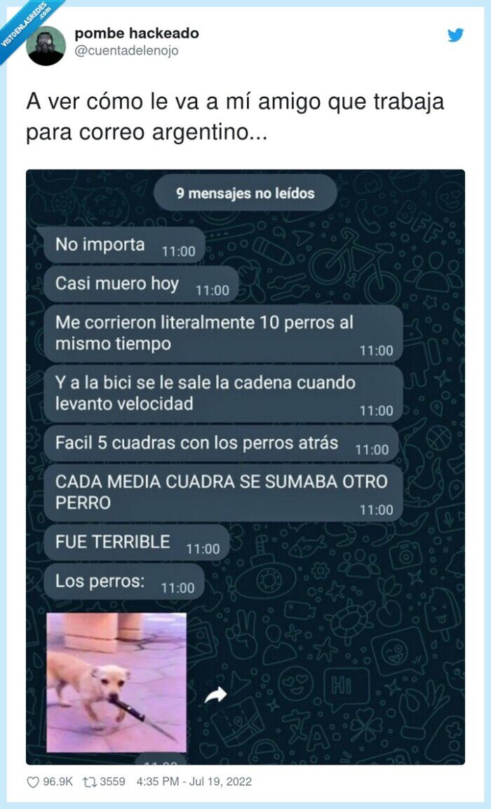 correr,argentino,perro,peligro