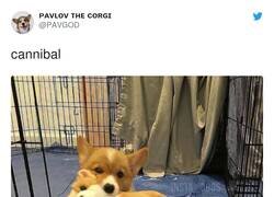 Enlace a Canibal Lecter, por @PAVGOD