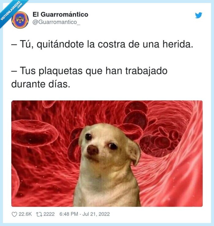 plaquetas,sangre,costra,herida