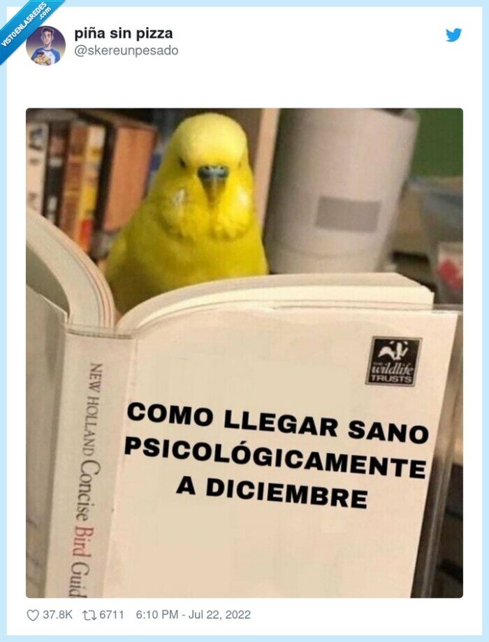 sano,psicológicamente,diciembre,libro