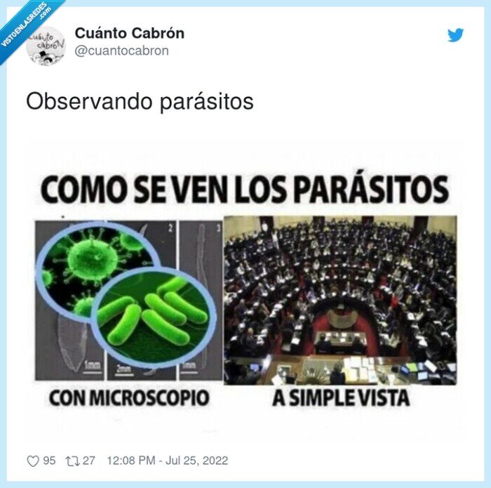 observando,parásitos,microscopio