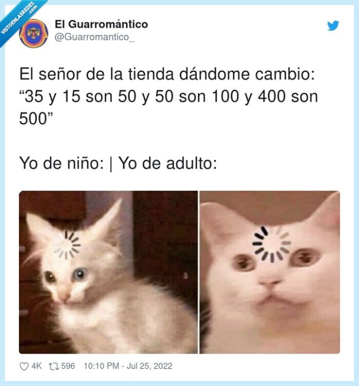 tienda,cambio,gato,calcular,adulto