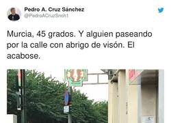 Enlace a Necesito una explicación, por @PedroACruzSnch1