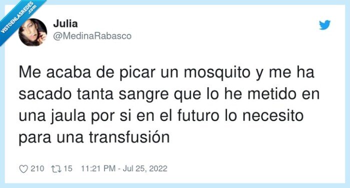 transfusión,mosquito,sacado,sangre