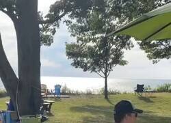 Enlace a Este padre acaba de presentar su nominación a mejor truco del año