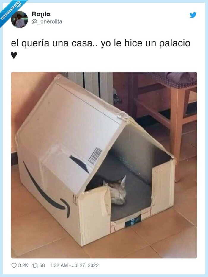 palacio,gato,caja,amazon,casa