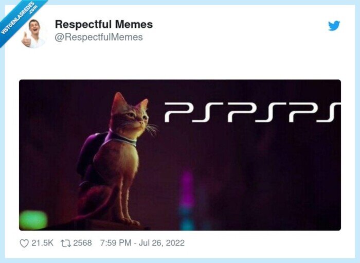 consola,psp,gatos