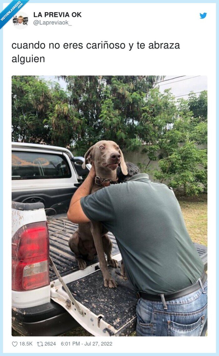 cariñoso,abrazo,perro