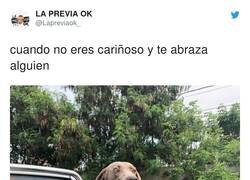 Enlace a Parece que haya visto toda su vida pasar, por @Lapreviaok_