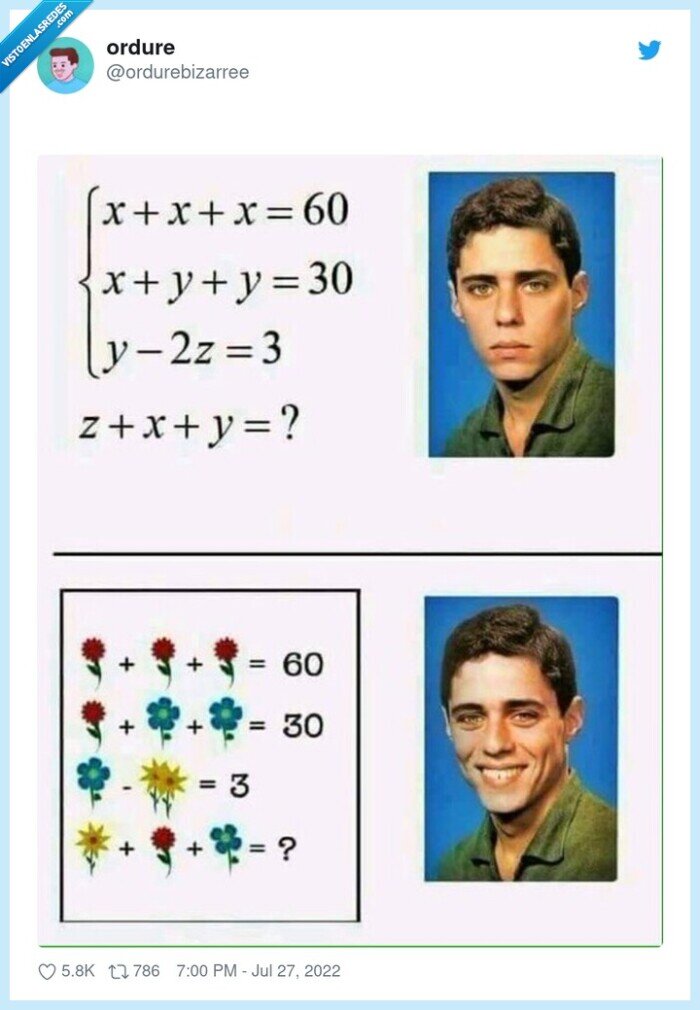 matemáticas,álgebra,flores