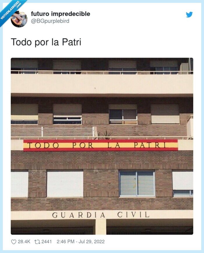 patri,todo