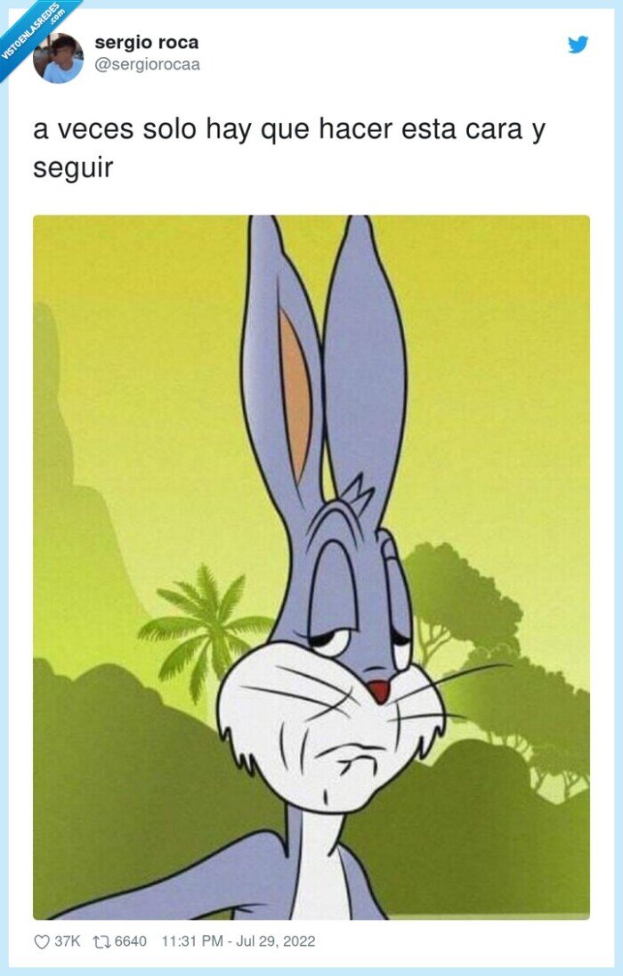 cara,seguir,adelante,vida