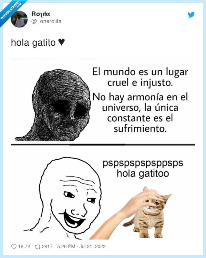 gatito,hola,michi,mundo,cruel,sufrimiento