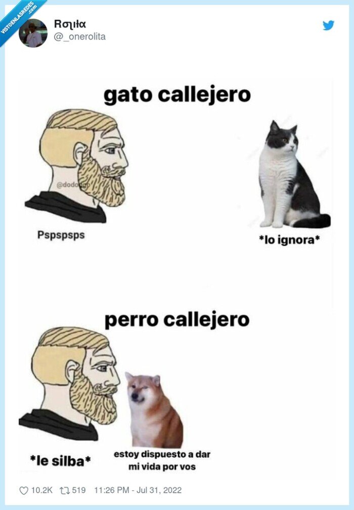 perro,gato,diferencias,saludo