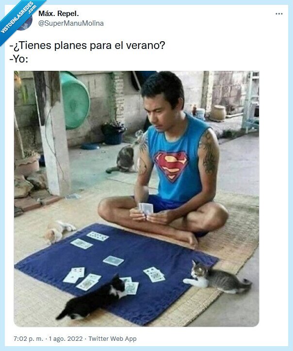 planes,verano,cartas,gatos