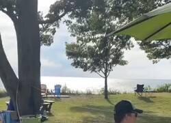 Enlace a Padre del año, por @forocoches