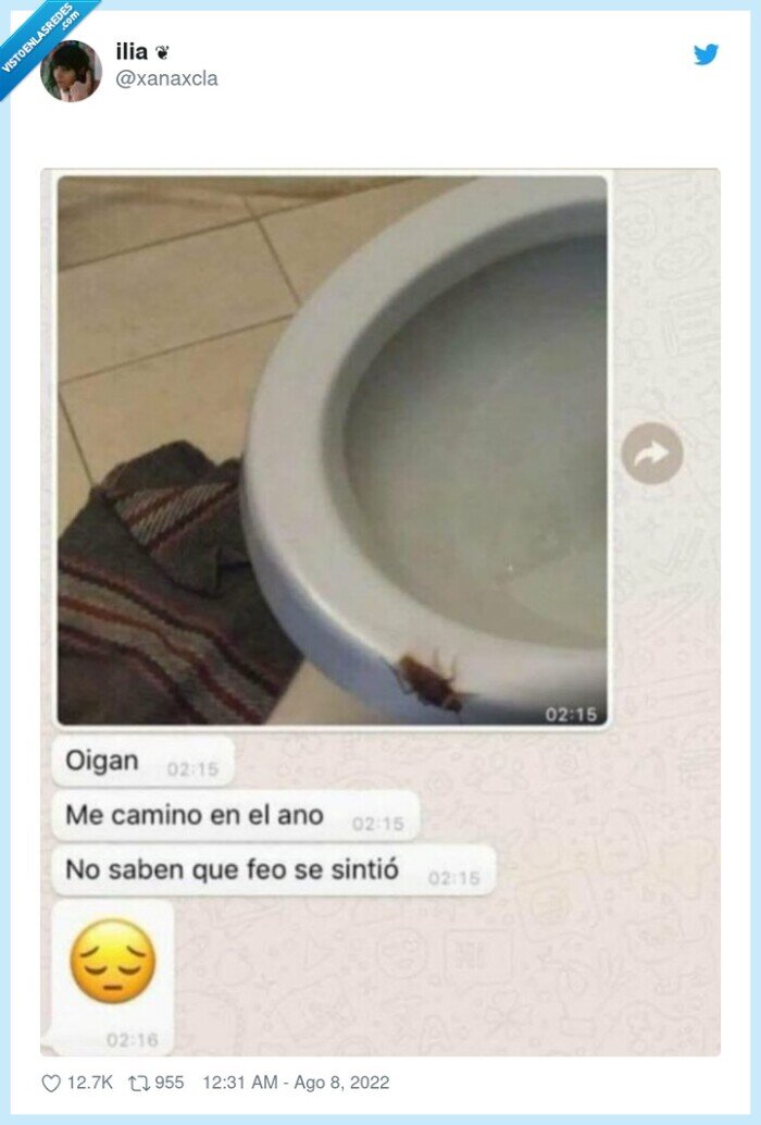 cucaracha,ano,wc,vater