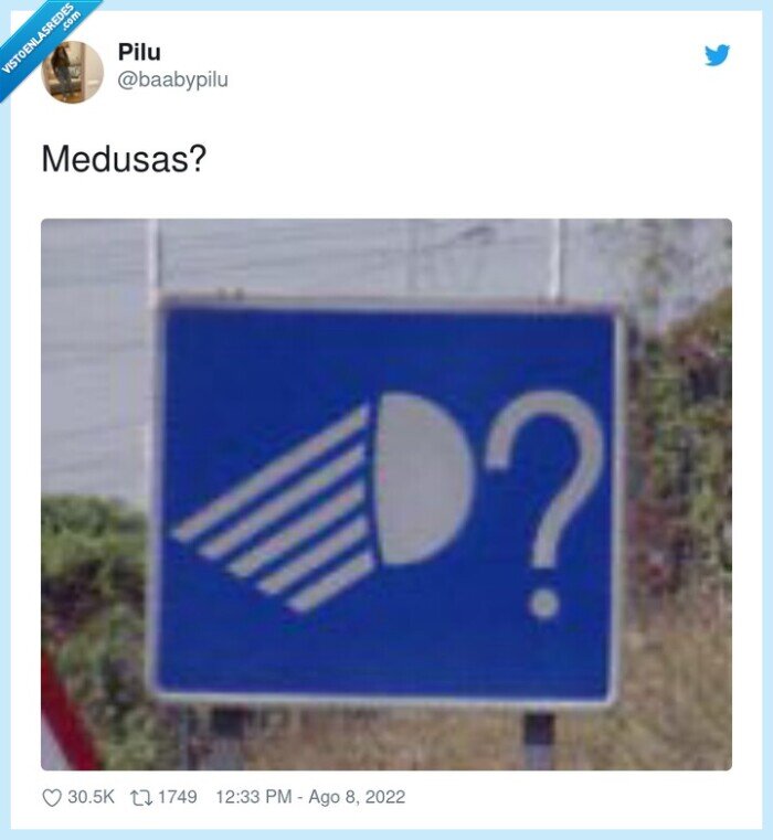 cartel,medusas,luces largas