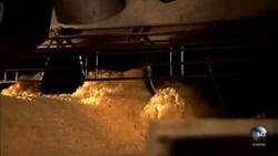 Enlace a Así es como se hacen las patatas fritas apilables, alias Pringles, por @FieraIngenieria