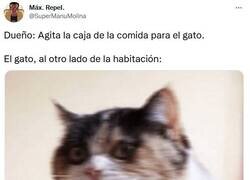 Enlace a Llegó la HORA de cada día por @supermanumolina