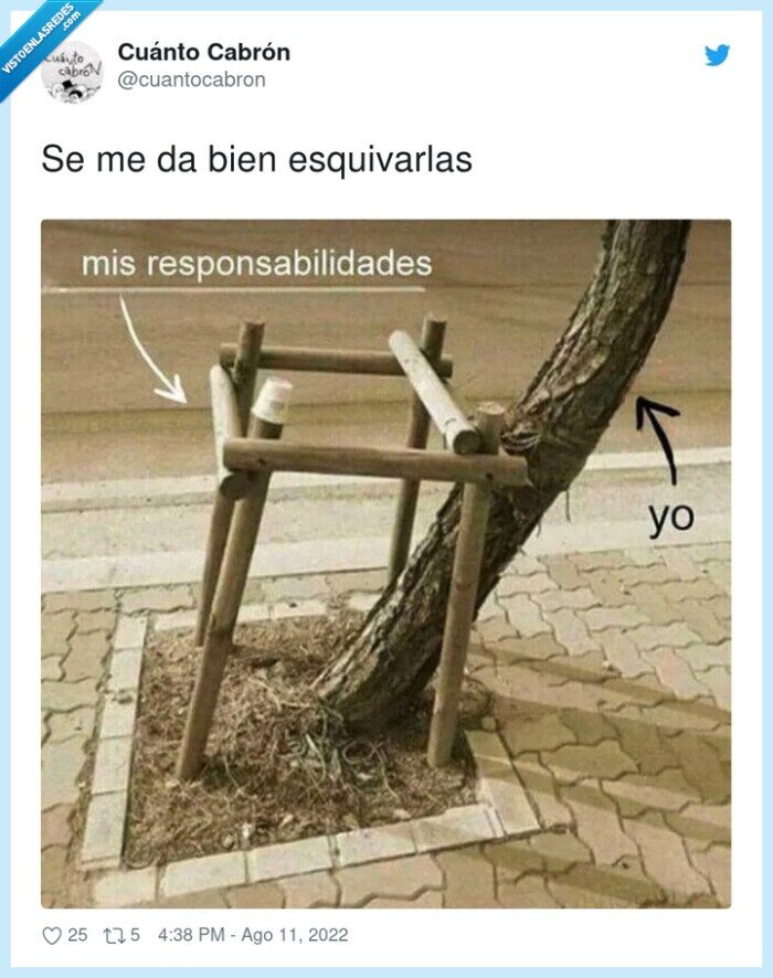 esquivar,responsabilidades,árbol