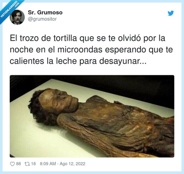 microondas,esperar,calientes,desayunar,tortilla