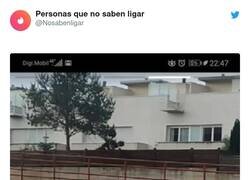 Enlace a ¡A mí me ha conquistado!, por @Nosabenligar