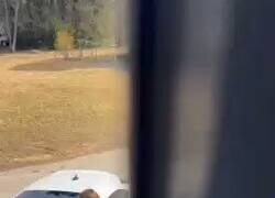 Enlace a Reviviendo mi época de crío toca-pelotas, por @NegrosConAtaud