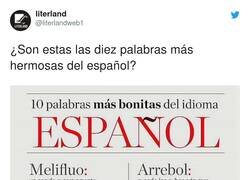 Enlace a Probablemente, por @literlandweb1