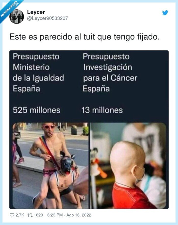 investigación,ministerio de igualdad,presupuesto,gobierno,psoe