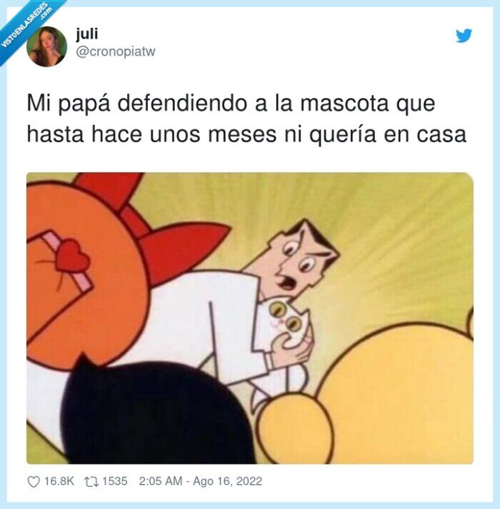 defendiendo,mascota,perro,querer,padre