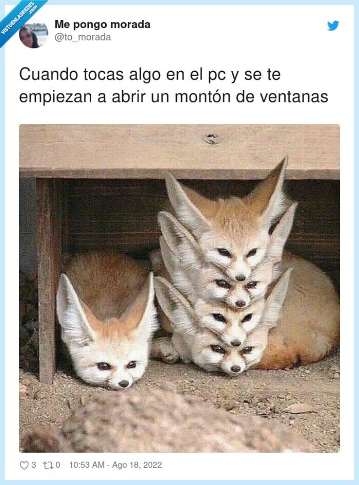 ventanas,empiezan,montón,tocas,abrir