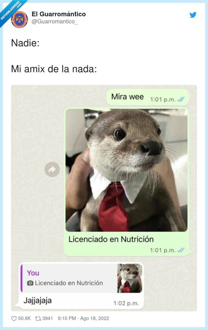nutria,nutricionista
