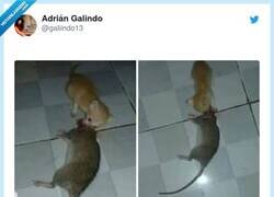 Enlace a Yo tampoco me fiaría, por @galiindo13