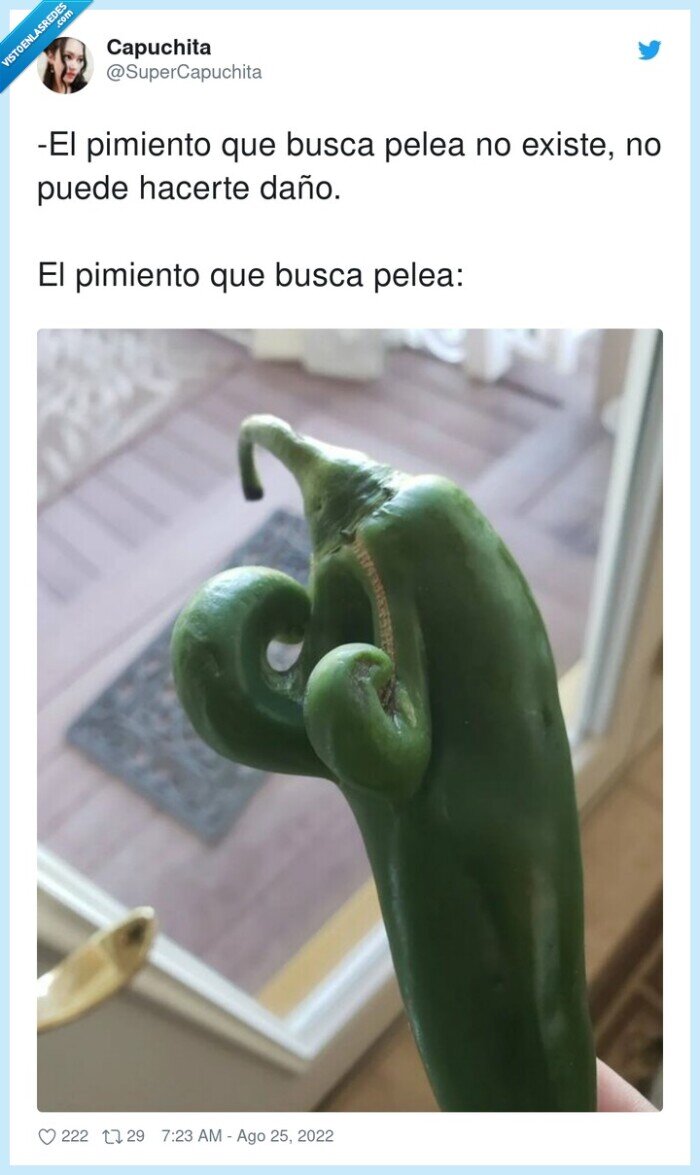 pimiento,busca,pelea
