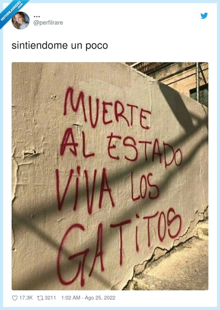 gatitos,pared,estado