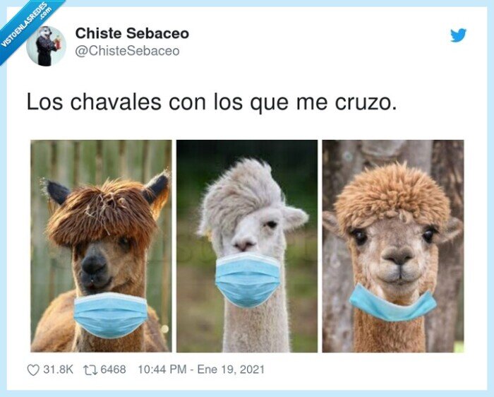 chavales,cruzarse,peinados,llamas