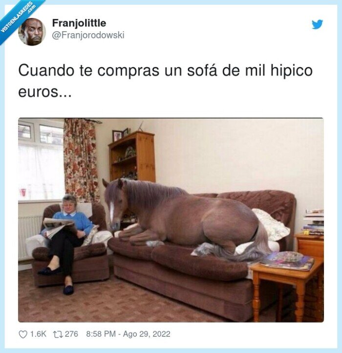 compras,caballo,hipico,sofá,euros