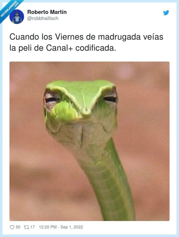 viernes,madrugada,película,codificada,canal+