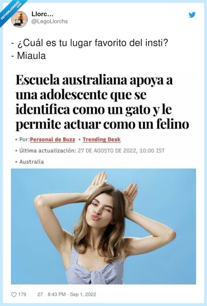 favorito,miaula,cuál,lugar,instituto,gato,felino