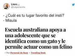 Enlace a -¿De dónde eres?-De Michisgan, por @LegoLlorchs