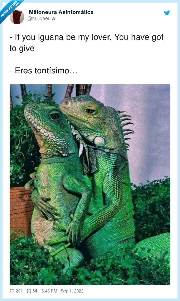 spice girls,iguana,lover