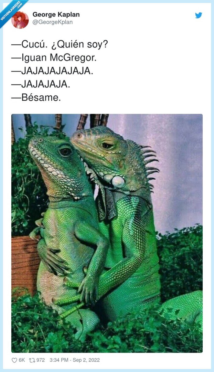jajajajajaja,mcgregor,iguana,bésame,quién,cucú