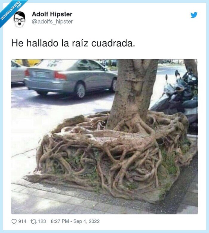 raíz cuadrada,árbol,raíces