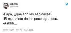 Enlace a Espina-cas , por @vibimar