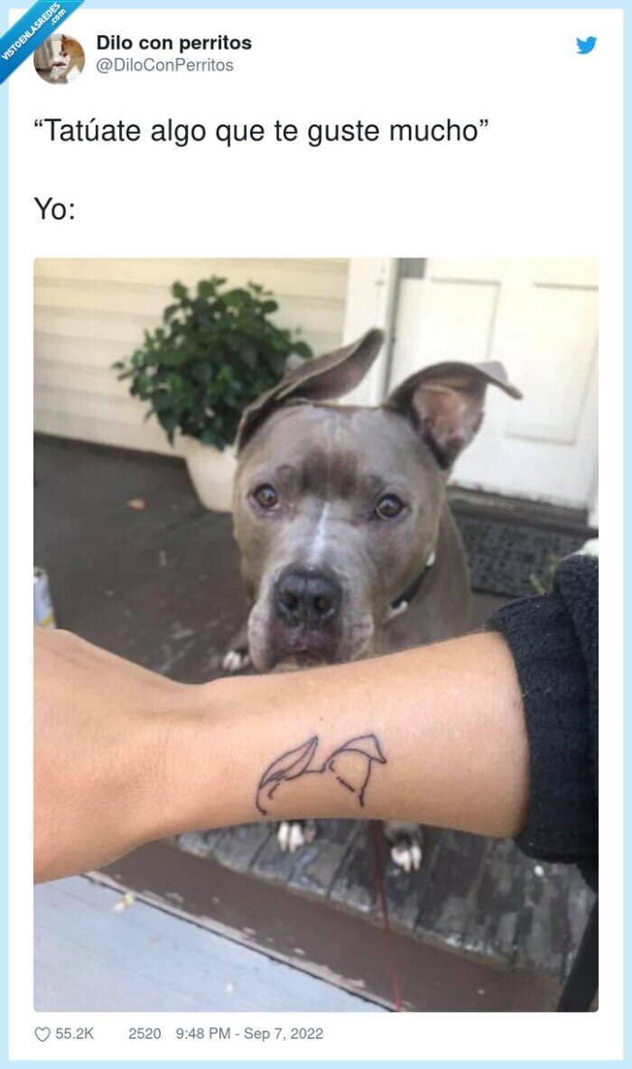 tatuaje,orejas,perro