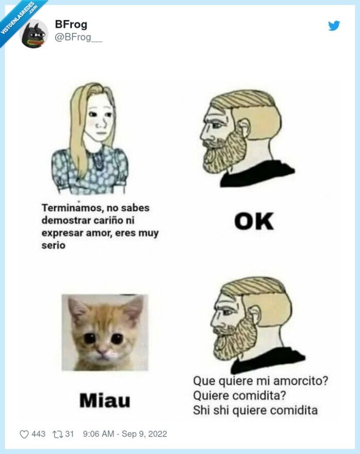amor,chicos,chicas,gato