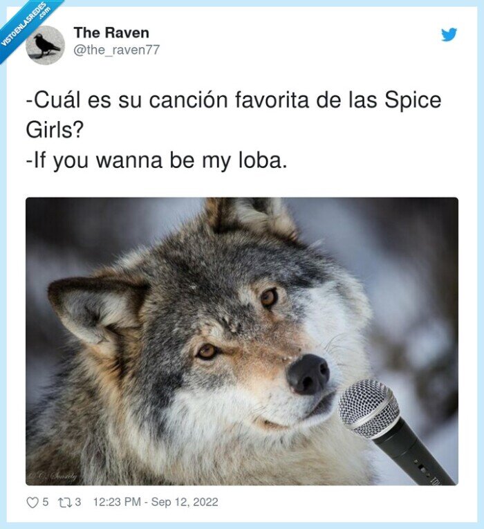 canción,favorita,spice girls,loba